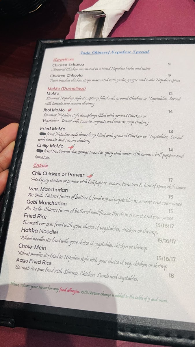 Menu Aago Indian/ Nepalese Restaurant & Bar-2